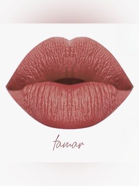 NIB Karity Lip Lock Velvet Liquid Lipstick - Tamar